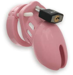 CB-6000 Male Chastity Device Cock Cage and Lock Set Pink main