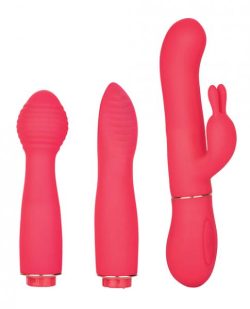 In Touch Dynamic Trio Pink Vibrator Kit main
