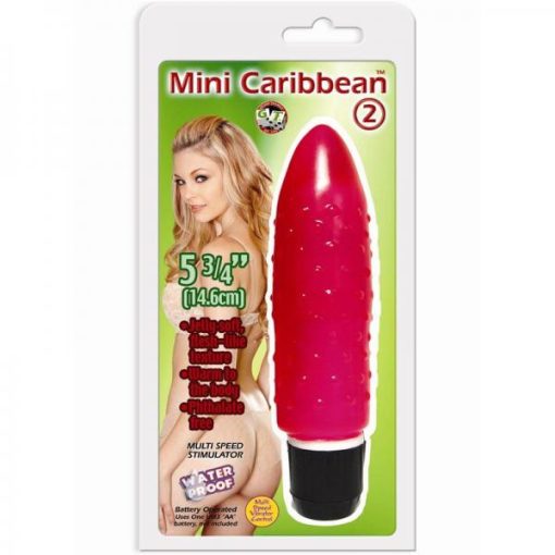 Mini Caribbean #2 Waterproof Vibrator second