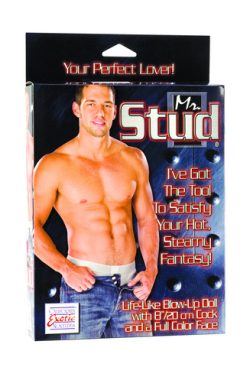 Mr Stud Love Doll Lifelike Inflatable With Penis 8 Inches main