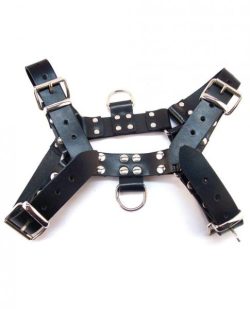 Rouge Over The Head Medium Harness main