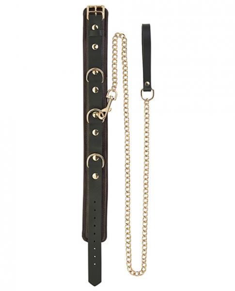 Spartacus collar and leash brown leather with gold accent hardware second