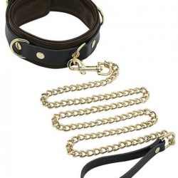 Spartacus Collar and Leash Brown Leather with Gold Accent Hardware main
