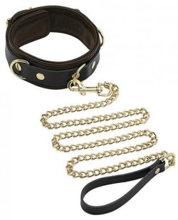 Spartacus Collar and Leash Brown Leather with Gold Accent Hardware main