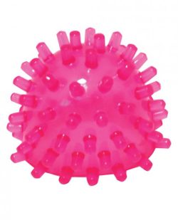 Voodoo Pleasure Dots Wand Attachment main