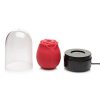 Bloomgasm Enchanted Rose 10X Clit Stimulator W/ Case Rechargeable Vibrators 3
