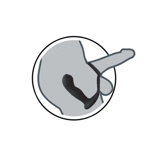 Butts Up Prostate Massager W/ Scrotum & Cock Ring Black - Image 4