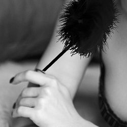 Feather Tickler  Main Image