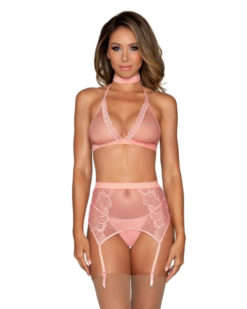 Fishnet & Lace 4Pc Set W/ Stretch Velvet Trim Rose Pink O/S Bra Sets 3