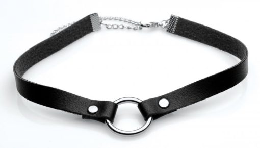 Master Series Lush Pet Silver Ring Slim Choker  Main Image