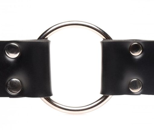 Master series strap & ride dildo strap harness 1