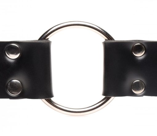 Master Series Strap & Ride Dildo Strap Harness - Image 3