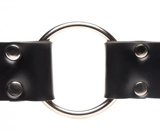 Master Series Strap & Ride Dildo Strap Harness - Image 3