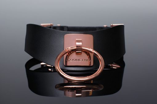 Pleasure Collar Black & Rose Gold 1