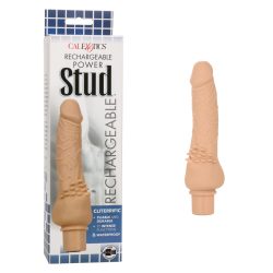 Rechargeable Power Stud Cliterrific Ivory Anal Vibrators Main Image