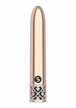 Royal Gems Shiny Rose Abs Bullet Rechargeable Rechargeable Vibrators Main Image