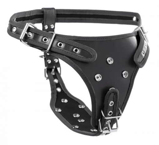 Strict double penetration strap on harness 1