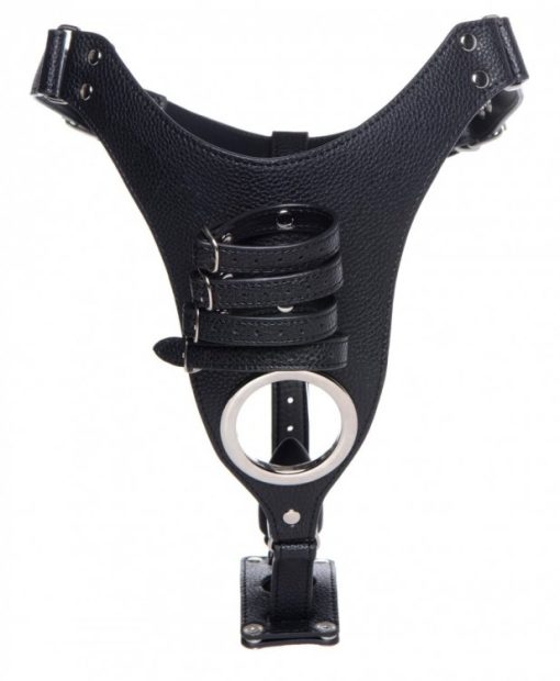 Strict Male Chastity Harness W/ Silicone Anal Plug - Image 3